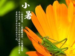 -兰溪青年公园