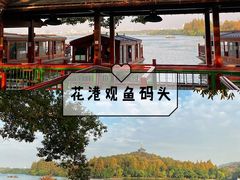 -西湖外事游船(花港观鱼码头)