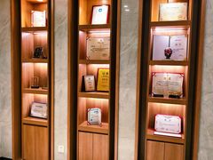 -北京派仕佳德动物医院·超导核磁·CT·神经科·骨科·内外科·急重症管理中心
