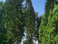 -十九路军淞沪抗日阵亡将士陵园