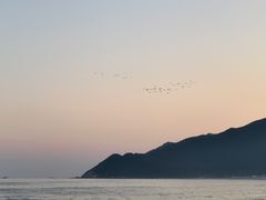 -西涌国际滨海旅游区