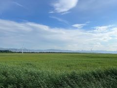 -野鸭湖国家湿地公园