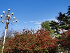 -棒棰岛宾馆景区