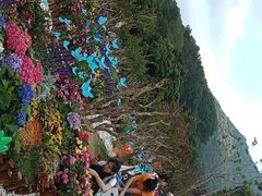 -深圳仙湖植物园-停车场