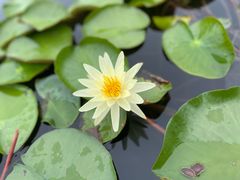 -品鲜村农家菜·阳澄湖大闸蟹(总店)