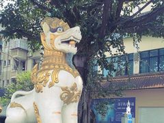 -云南勐巴娜西珍奇园