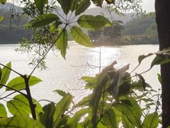 -红花湖景区