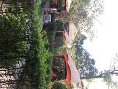 -二荆条·蜀鲜汇城市森林火锅