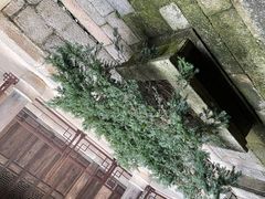 -绩溪龙川景区