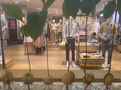 -Mr.Fruits水果先生(北京市百货大楼店)