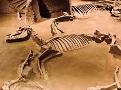 -洛阳周王城天子驾六博物馆