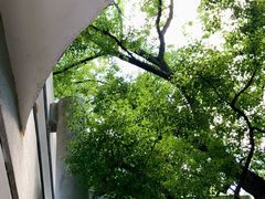 -湖北美术学院(昙华林校区)