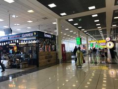 -谢列梅捷沃国际机场