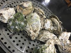 -蚝专家(北滘店)