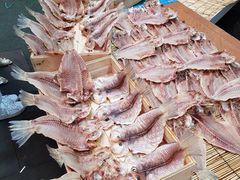 -西归浦每天偶来市场