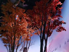 -中国湿地博物馆