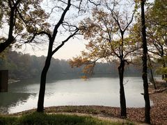 -紫霞湖公园