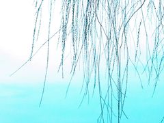 -艾溪湖湿地公园