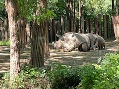 -北京野生动物园