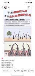 -木北造型