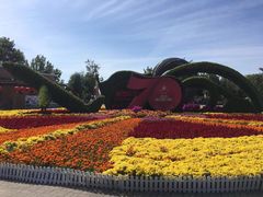 -大兴滨河森林公园