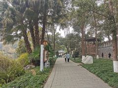-桂湖森林公园