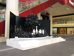-Dior迪奥(上海世茂广场店)