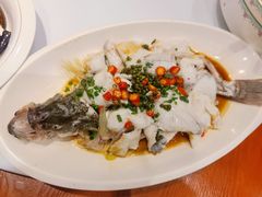 鲜花椒鲈鱼-紫光园·烤鸭·北京菜(团结湖店)
