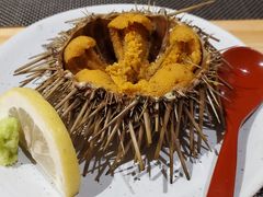 -泉寿司(万科公园店)