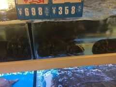 水产区-至尊强仔(正光北街店)