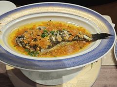 金椒酱蒸野生溪石斑-酒蜻蜓·庭院私房菜(天元东路店)