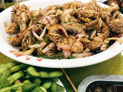 -赵氏老北京涮羊肉羊蝎子(蓝村店)