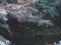 -虎跑公园