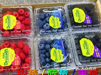 三莓组合！您品尝了吗？