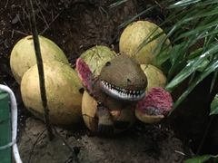 -青青世界