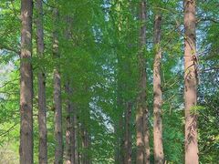 -狼山风景名胜区
