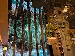 -桂满陇·海市蜃楼·黑金(国金店)