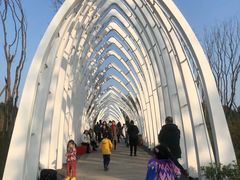 -白鹭湾湿地公园