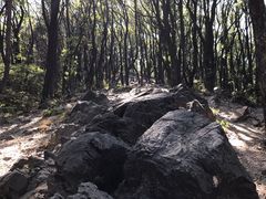 -喻家山