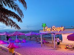 -巨鹏飞梦幻海岸