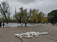 -上海交通大学闵行校区-包玉刚图书馆