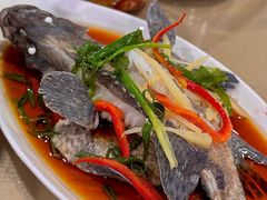 清蒸石斑鱼-潘先生海鲜城(神州半岛店)