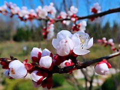 -九鼎铁刹山风景区