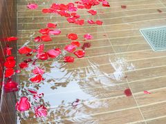 -三亚珠江南田温泉度假区