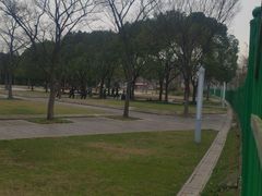 -新江湾城公园