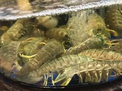 椒盐濑尿虾-陶陶居海鲜酒家(新马路店)