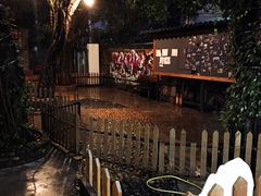 -柴犬高等学院·狗咖·柴犬售卖·宠物训练