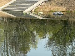-大望京公园