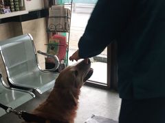 -安安宠医·安宠宠物医院