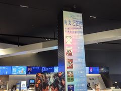 -奥斯卡升龙国际影城(RealD Cinema)